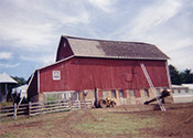 Barn roof replacement early stage of switching to a steel barn roof