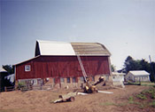 Barn roof replacement midway stage of switching to a steel barn roof