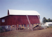 Barn roof replacement final stage of switching to a steel barn roof